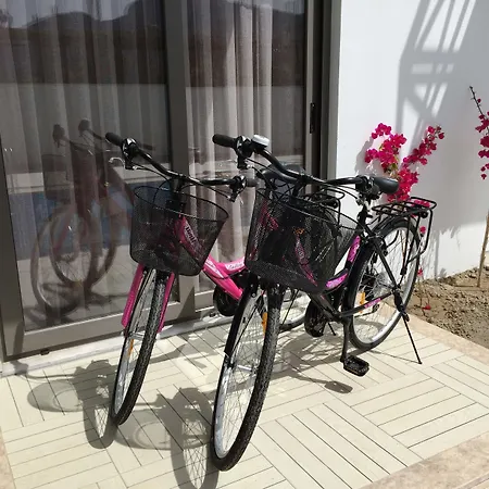 Casa Pallet (adults Only) 4* داليان