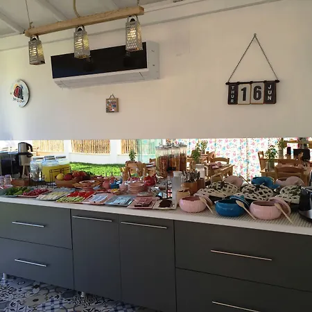 Casa Pallet (adults Only) فندق