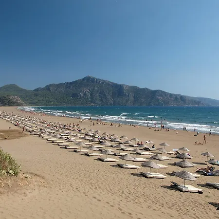 Casa Pallet (adults Only) Hotell