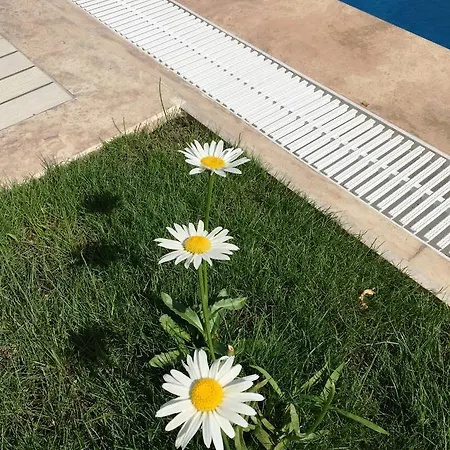 فندق Casa Pallet (adults Only) داليان