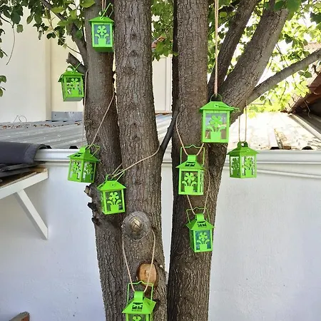 Casa Pallet (adults Only) 4* داليان