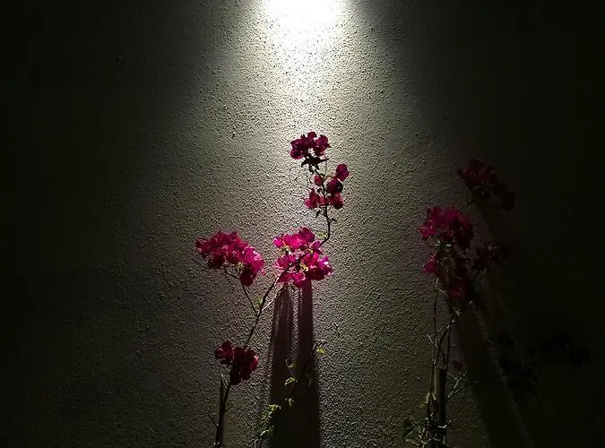 Hotel Casa Pallet (adults Only) 4*