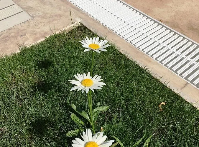 Hotel Casa Pallet (adults Only) Dalyan