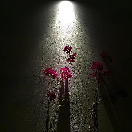 Hotel Casa Pallet (adults Only) 4*