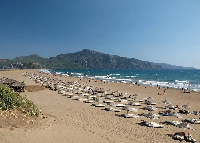 Casa Pallet (adults Only) Otel