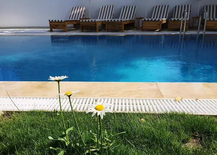 Casa Pallet (adults Only) Otel